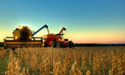 Produção de Grãos no Brasil: Expectativa de Recorde para a Safra 2024/25