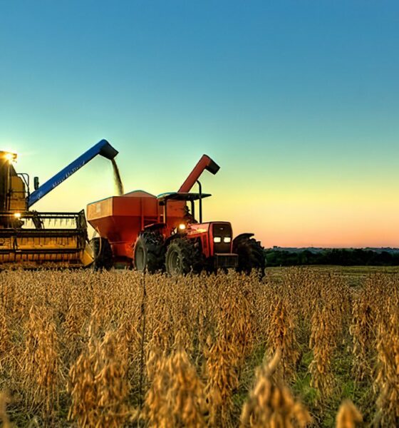 Produção de Grãos no Brasil: Expectativa de Recorde para a Safra 2024/25