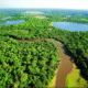 Turismo impulsiona economia e preservação no Pantanal mato-grossense