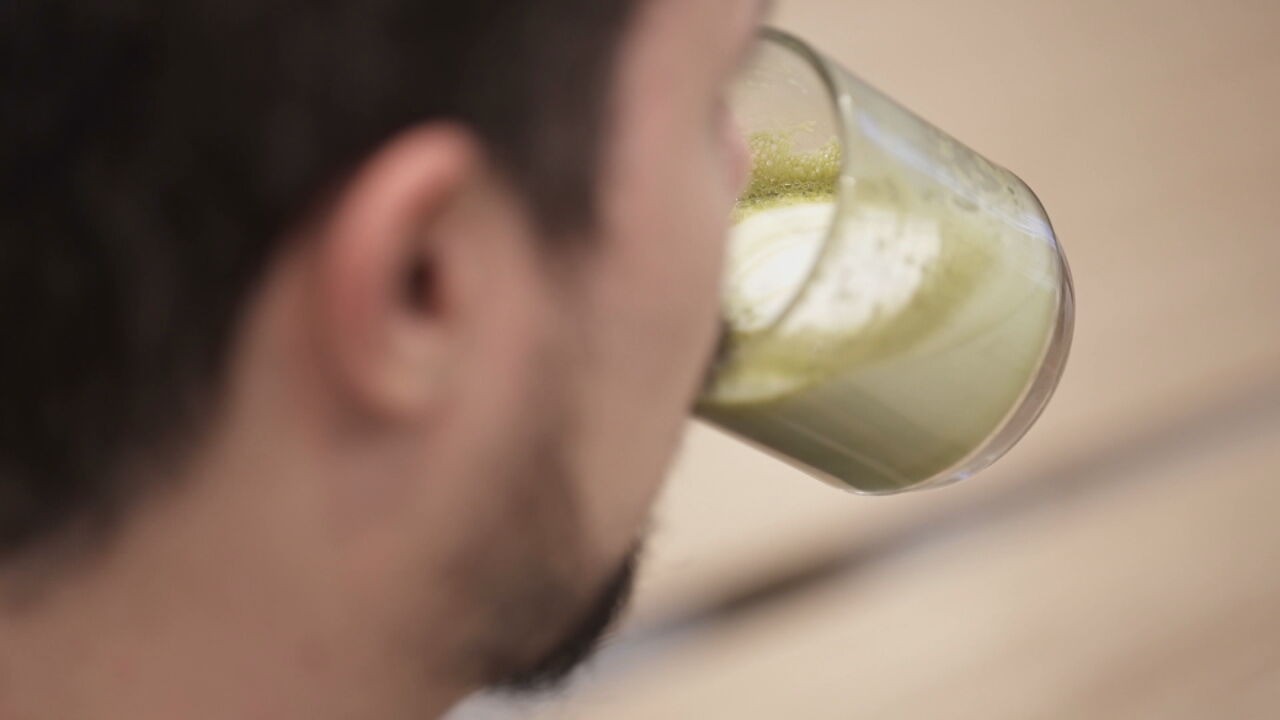 Aumenta a Demanda por Matcha nos EUA: Distribuidores Se Prepararam para o Impacto