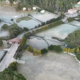 Geada em Monte Verde: Registro de Frio Intenso no Sul de Minas