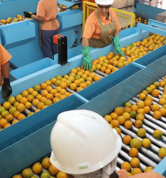 Tarifa de Importação dos EUA Atinge Produtos Brasileiros em 50%