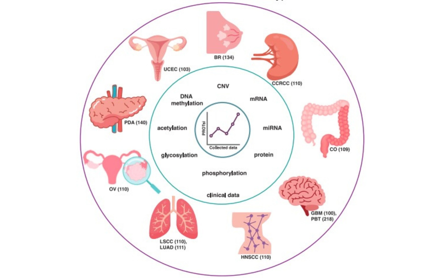 Avanços na Pesquisa do Câncer: Novo Modelo Através da Análise de Proteínas