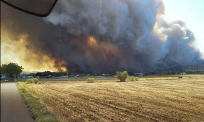 Incêndio Florestal em Ribaute: Bombeiros Enfrentam Desafios nas Chamas