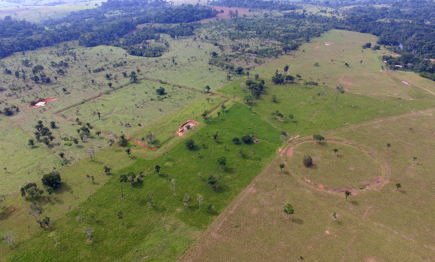 A Importância da Proteção do Meio Ambiente e do Patrimônio Cultural no Brasil