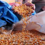 Municípios carentes terão prioridade em recursos de segurança alimentar