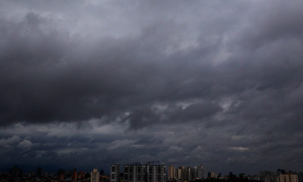 Tempestades em São Paulo: Quedas de Árvores e Falta de Energia Afetam a Região