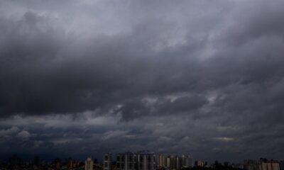 Tempestades em São Paulo: Quedas de Árvores e Falta de Energia Afetam a Região