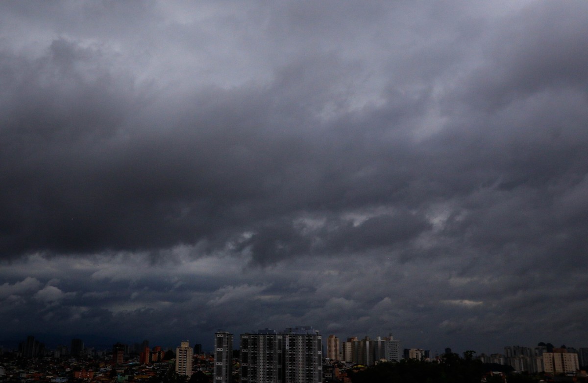 Tempestades em São Paulo: Quedas de Árvores e Falta de Energia Afetam a Região