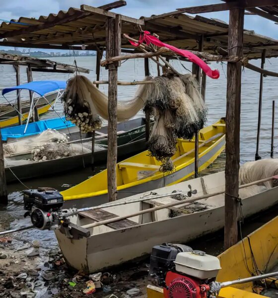Mudanças no Seguro-Defeso: Ministério do Trabalho Assume Habilitação a partir de Outubro