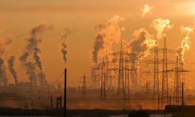 Países Aceleram Entrega de Novas Contribuições Nacionalmente Determinadas (NDCs) à Medida que Prazo se Aproxima