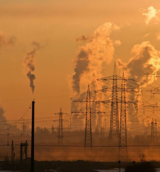 Países Aceleram Entrega de Novas Contribuições Nacionalmente Determinadas (NDCs) à Medida que Prazo se Aproxima