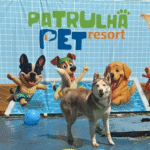 Patrulha Pet Resort: Pet Hotel Park Way se transforma em resort completo de cuidados e adestramento
