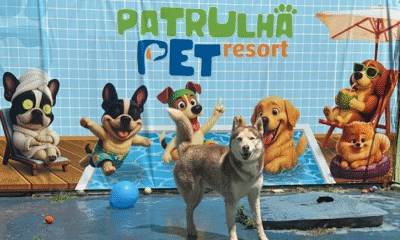 Patrulha Pet Resort, antigo Pet Hotel Park Way, oferece hotel, escola, adestramento, natação e cuidados veterinários para cães em Brasília.