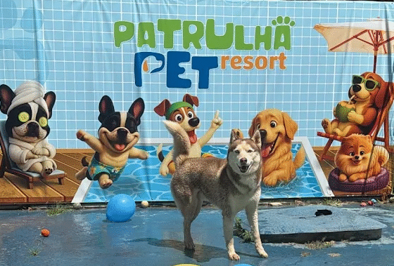Patrulha Pet Resort, antigo Pet Hotel Park Way, oferece hotel, escola, adestramento, natação e cuidados veterinários para cães em Brasília.