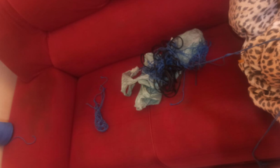 Suspeito de Roubo É Capturado Após Oferecer Celular da Vítima em Troca de Drogas