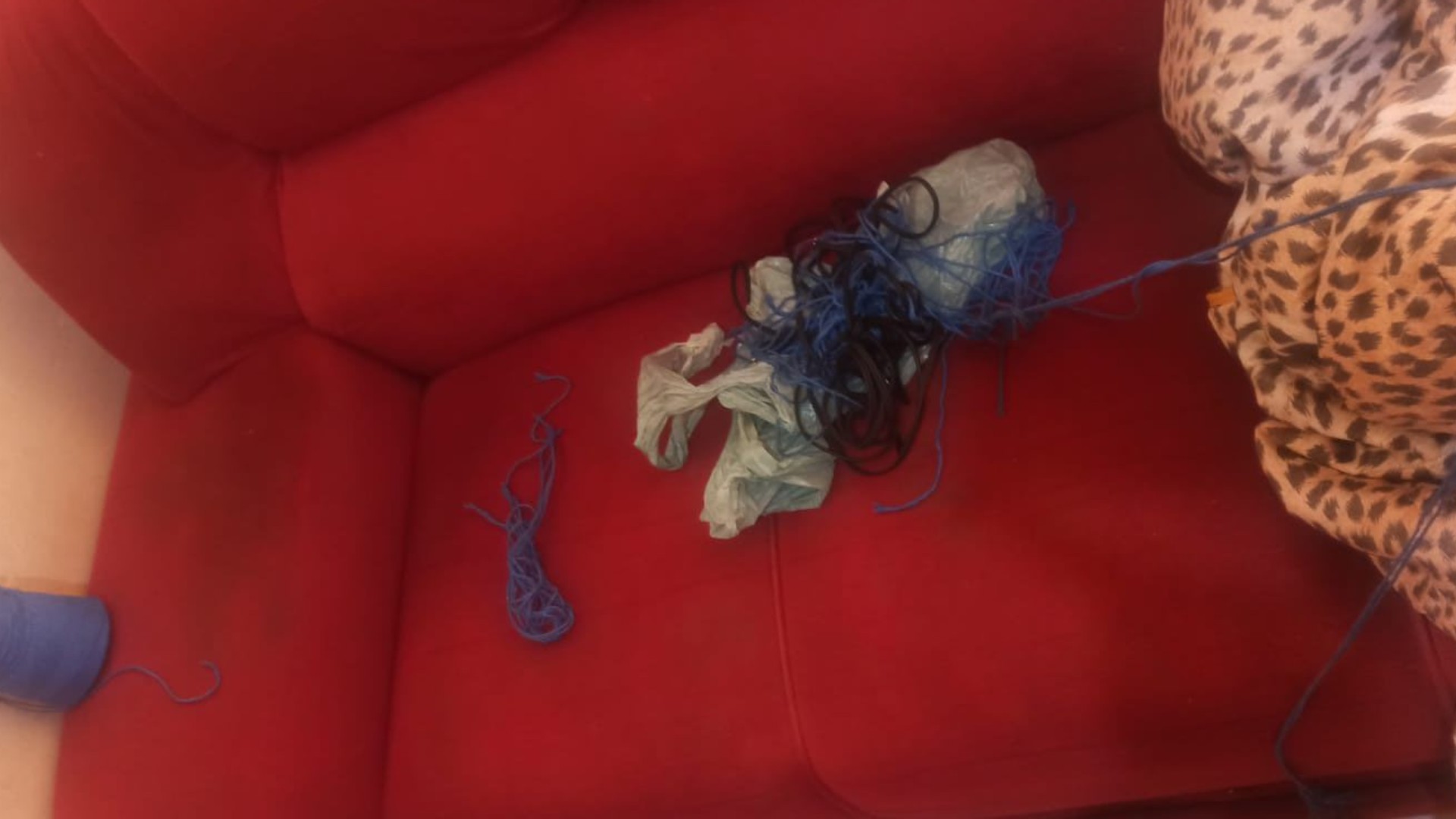 Suspeito de Roubo É Capturado Após Oferecer Celular da Vítima em Troca de Drogas